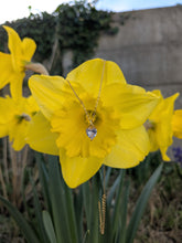 Charger l&#39;image dans la galerie, Collier strass coeur - acier inoxydable
